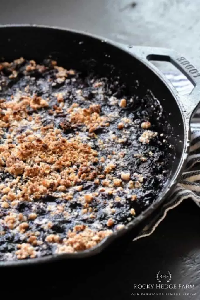 Cast Iron Skillet Blueberry Crisp