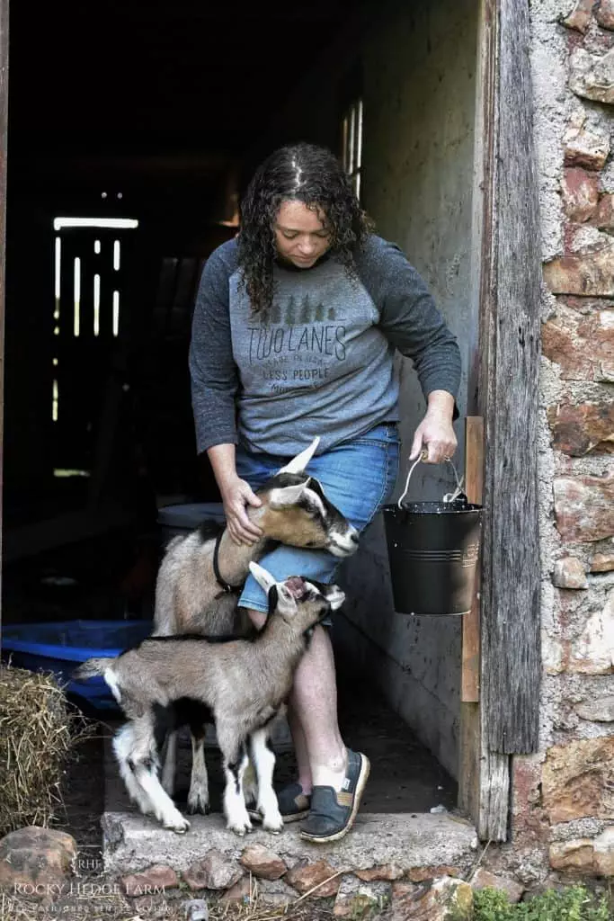 Raising Dairy Goats