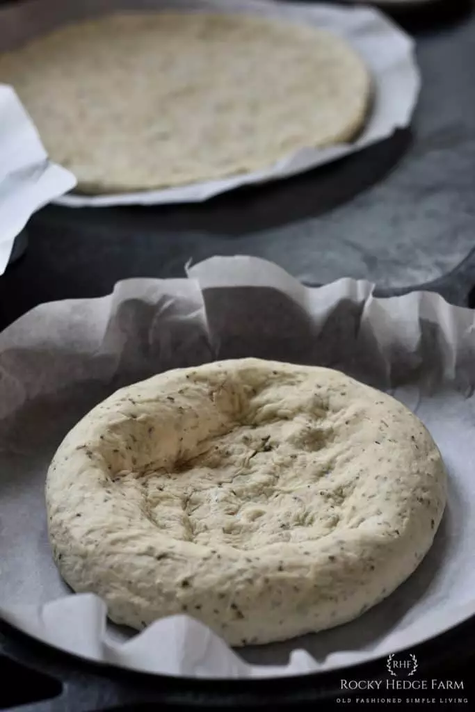 Sourdough Pizza Crust