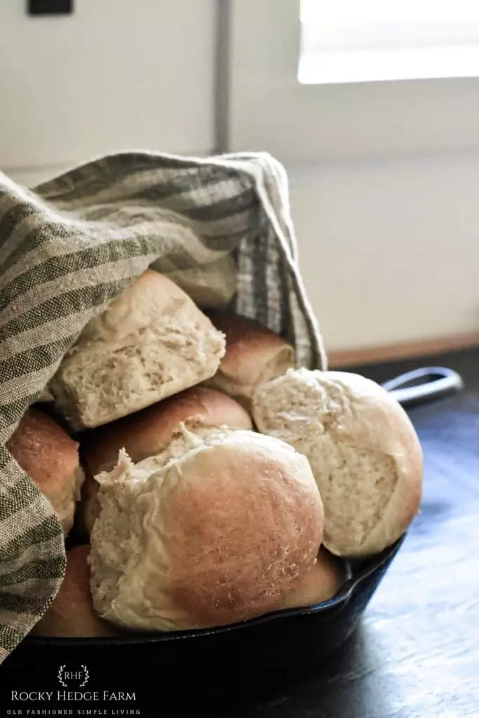 sweet sourdough dinner rolls