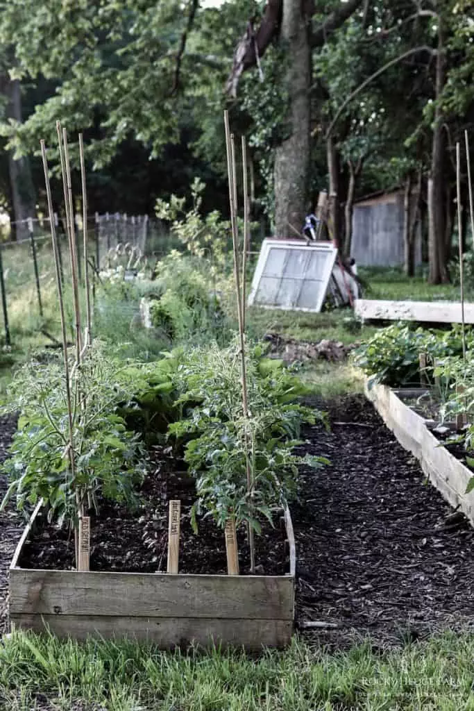 Easy Raised Garden Bed