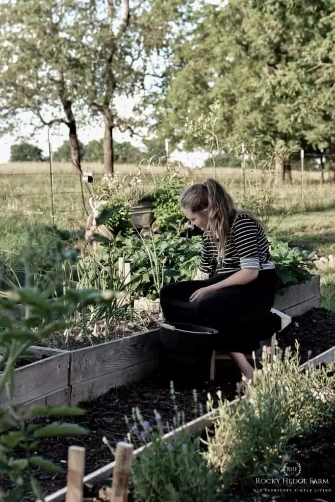 Working in the Summer Garden