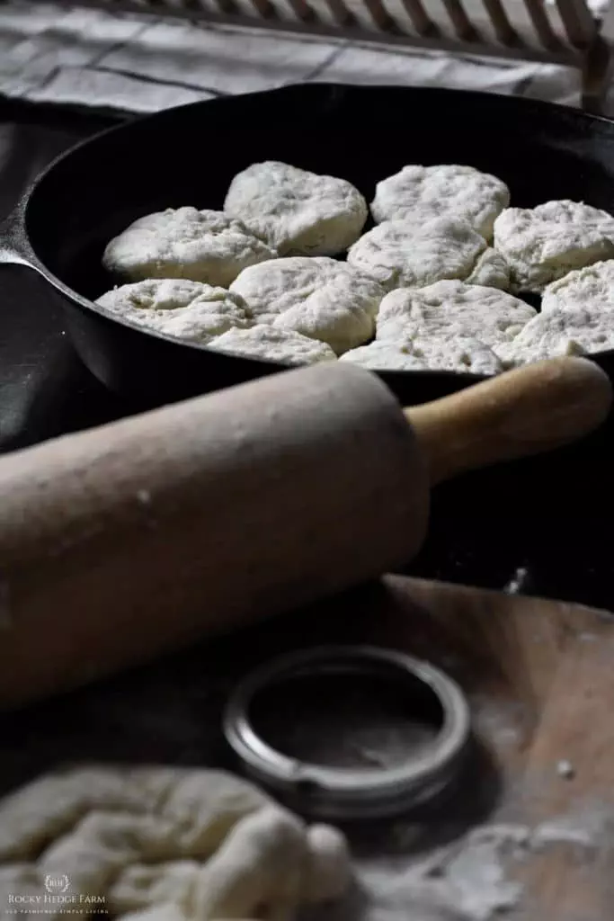 Sourdough Biscuit Cast Iron