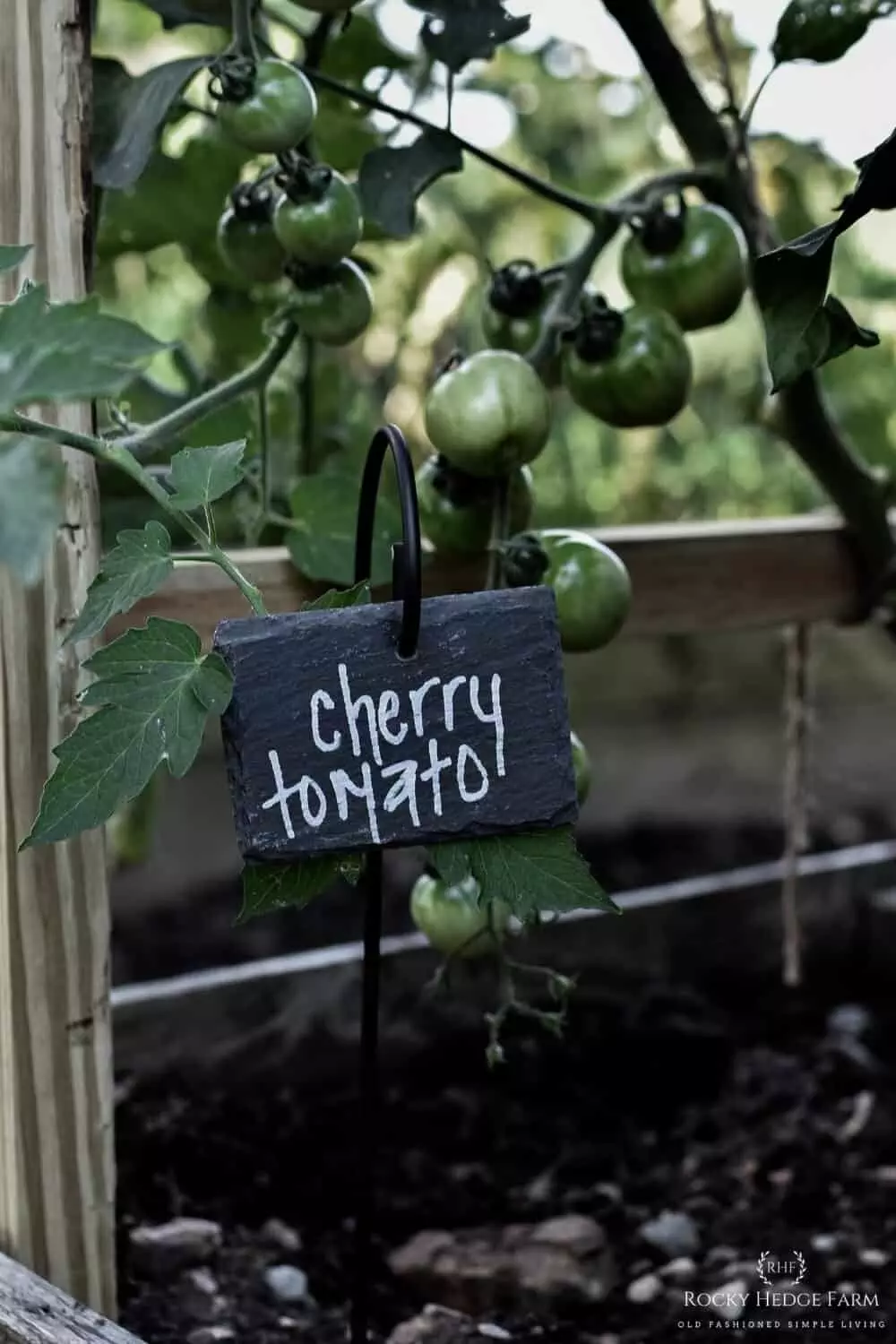 Weatherproof Hanging Slate Vegetable Plant Markers