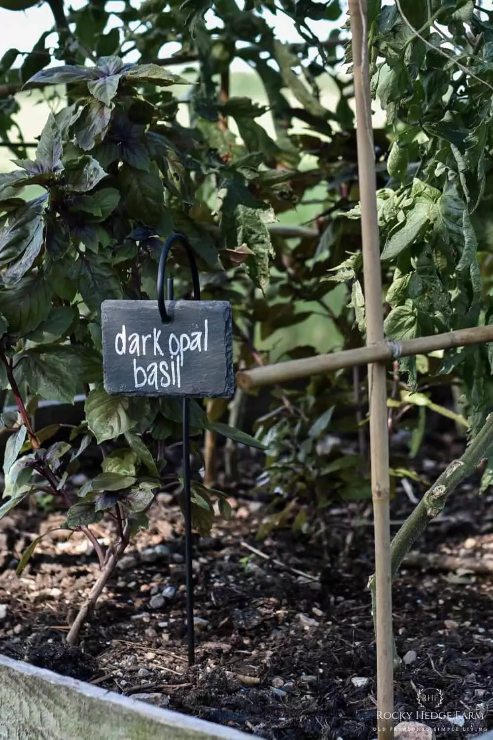 Weatherproof Slate Garden Labels