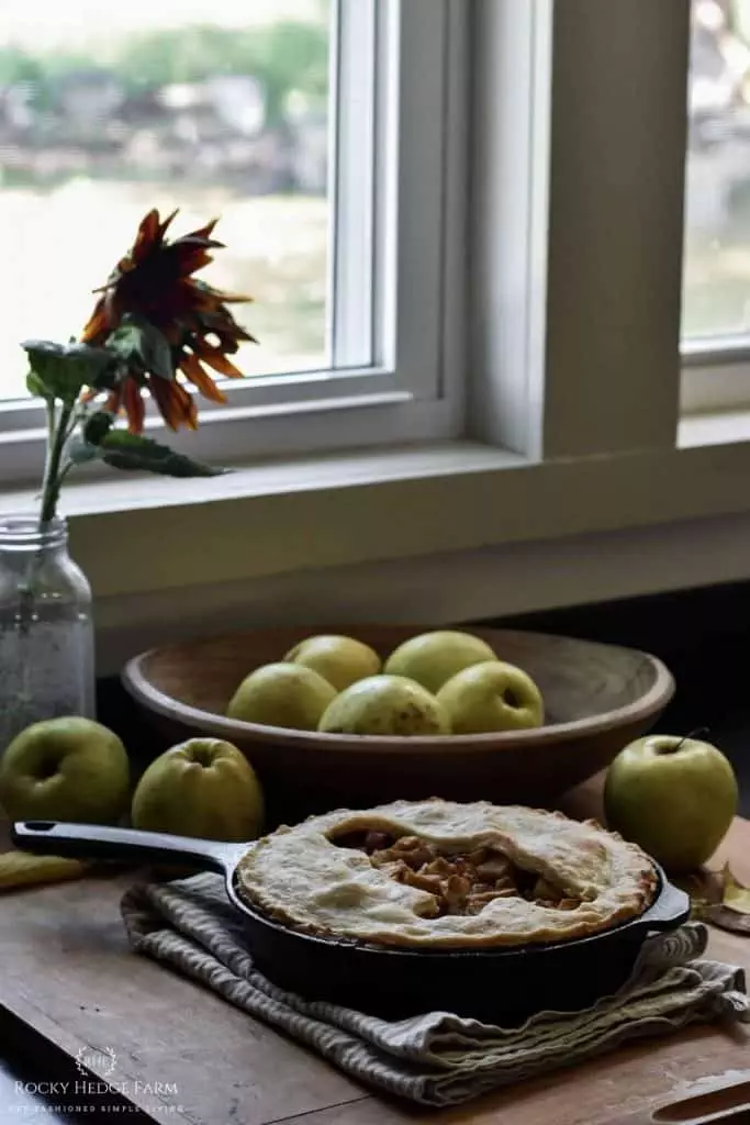 Homemade Apple Pie Recipe