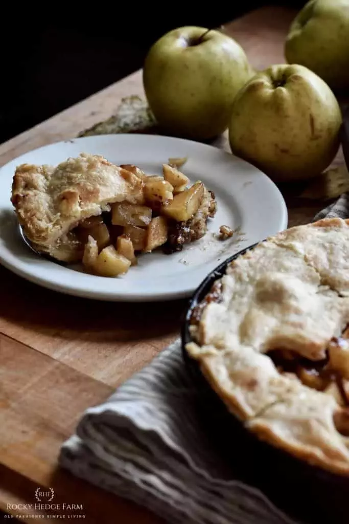 Cast Iron Skillet Apple Pie