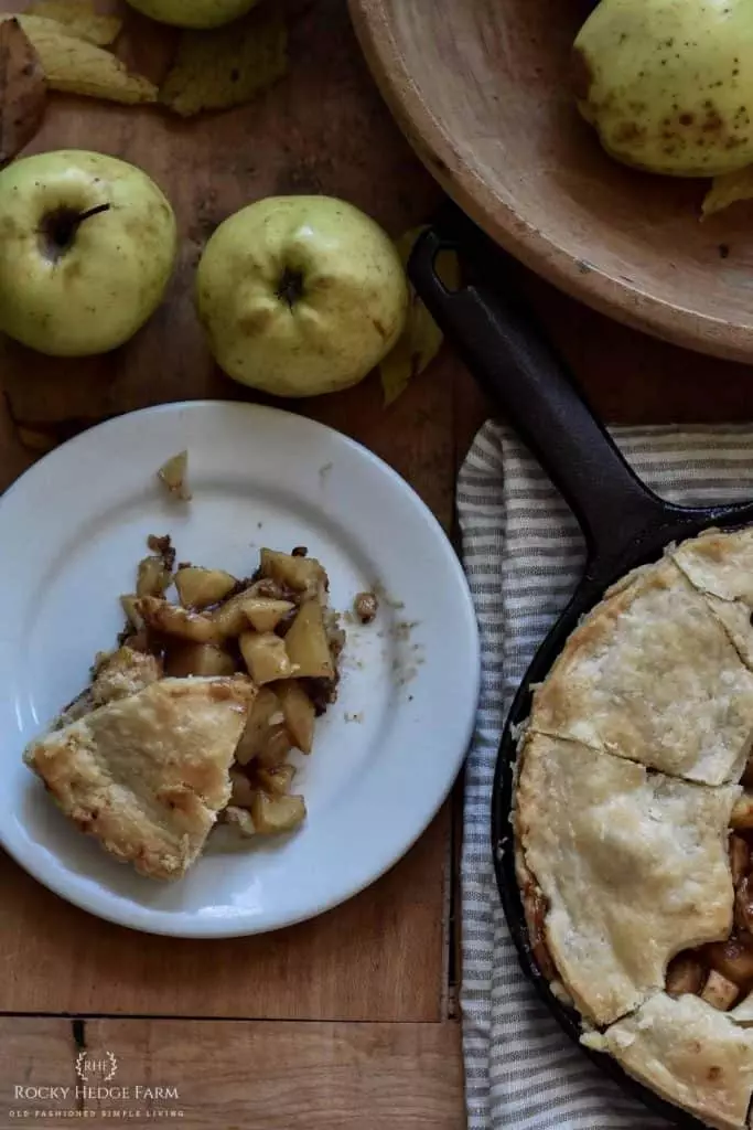 Favorite Apple Pie Recipe