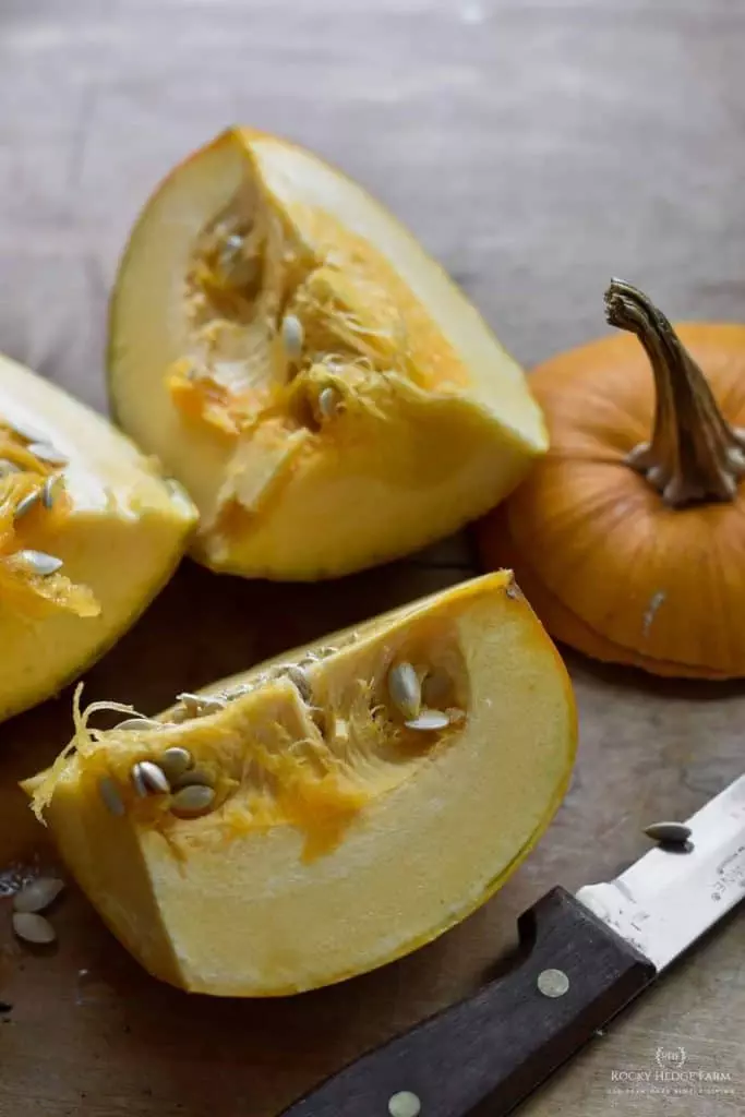 From Scratch Pumpkin Recipe