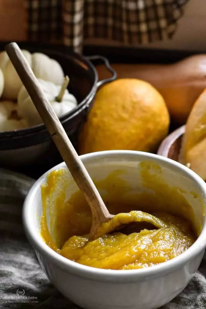 homemade pumpkin puree for pie