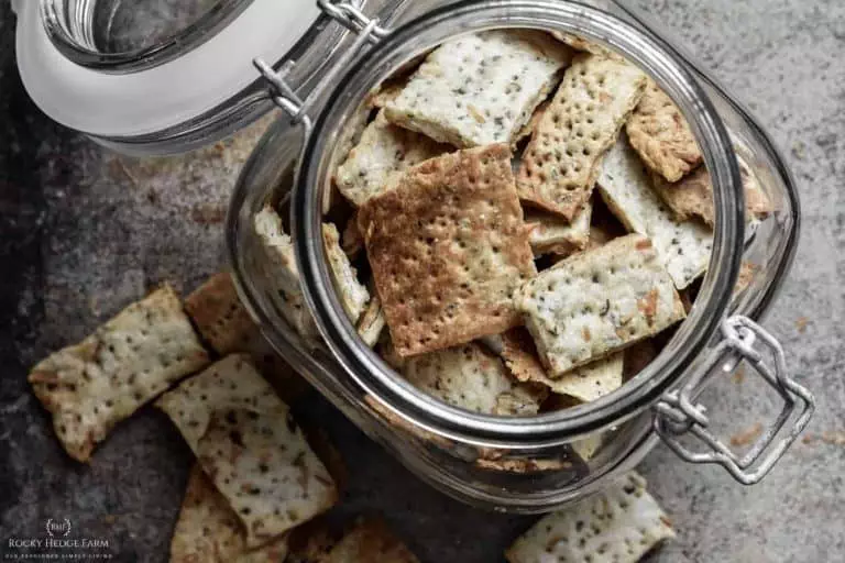 Sourdough Crackers Recipe