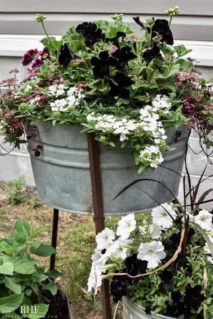 Old Yard Tub Planter