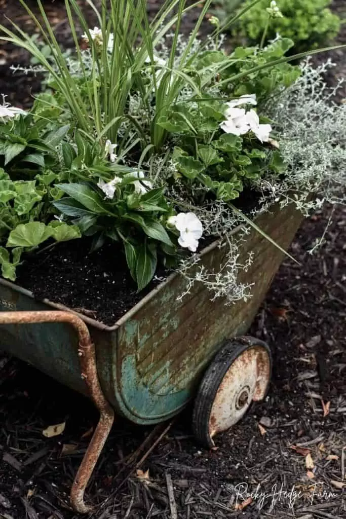 metal wheelbarrow planter