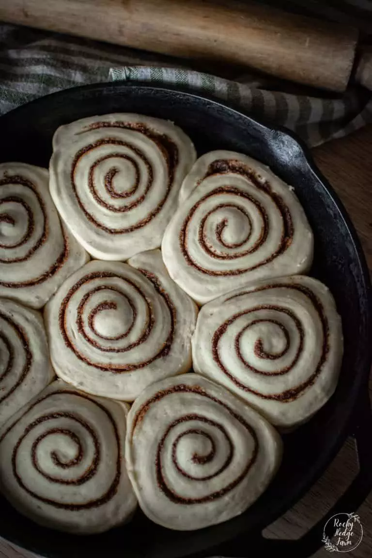 Cinnamon Rolls Rising in a Cast Iron Skillet