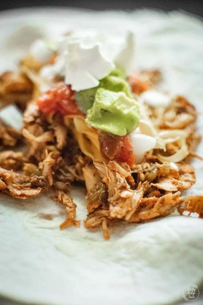 A delicious plate of shredded chicken tacos with tender chicken, vibrant toppings, and warm tortillas.