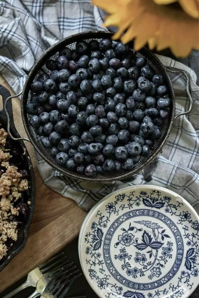 healthy blueberry dessert recipes