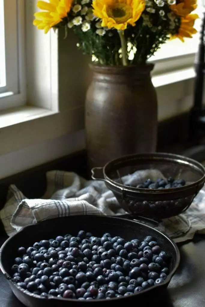 a bowl of fresh blueberries