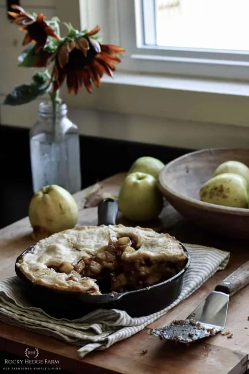 Homemade Apple Pie