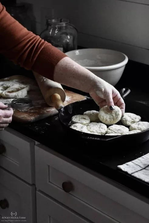 Sourdough Biscuit Cast Iron Skillet