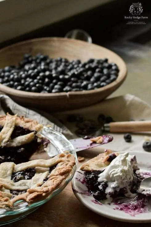 A blueberry pie slice on a plate with whipped topping. 